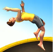 Flip Master 2
