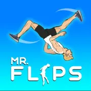 Mr Flip