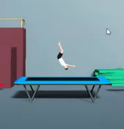 Trampoline Flip